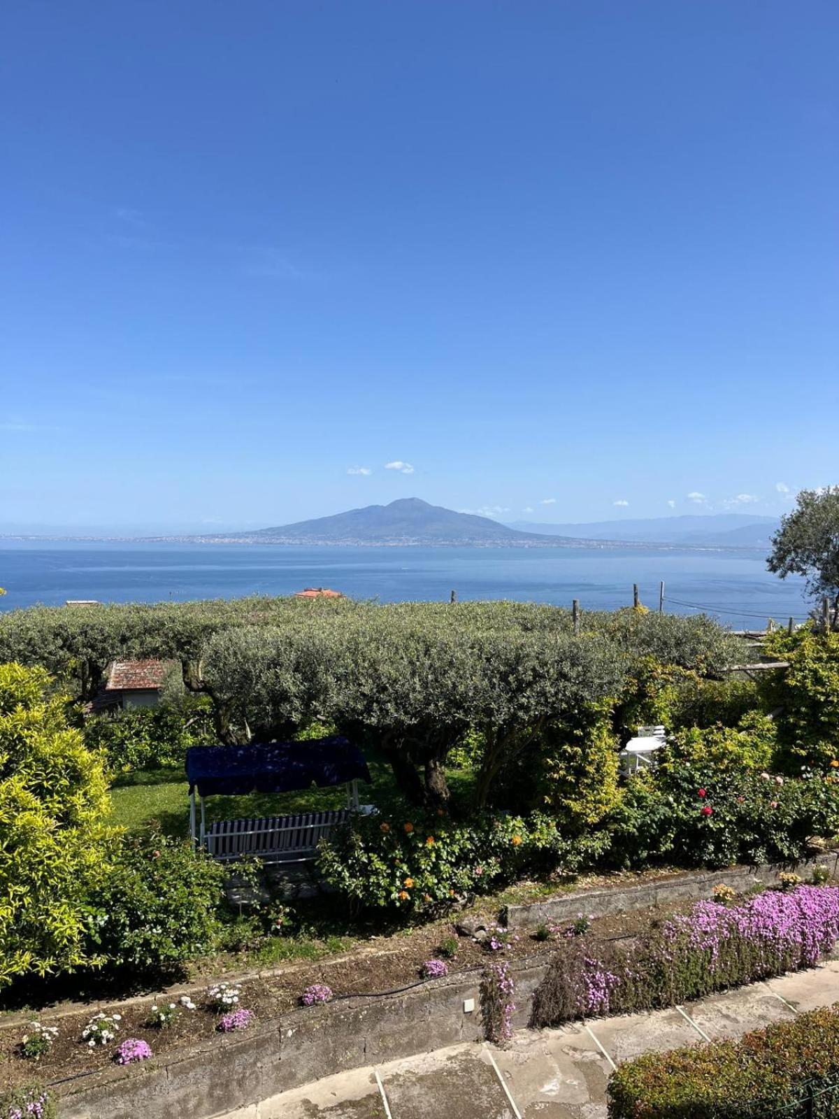 Готель Sorrento Olive Tree Garden Екстер'єр фото
