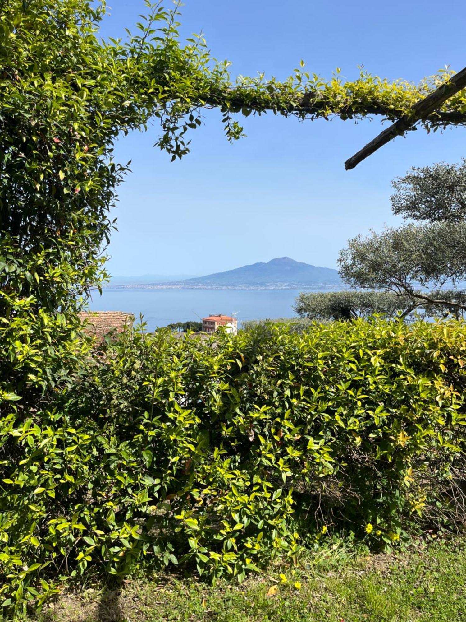 Готель Sorrento Olive Tree Garden Екстер'єр фото